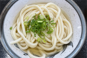 かけうどん大
